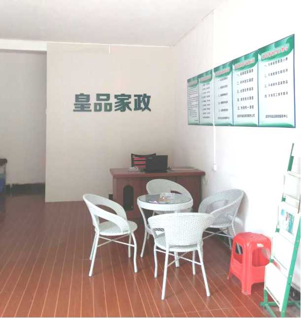 中国十大家政公司docx(图1)